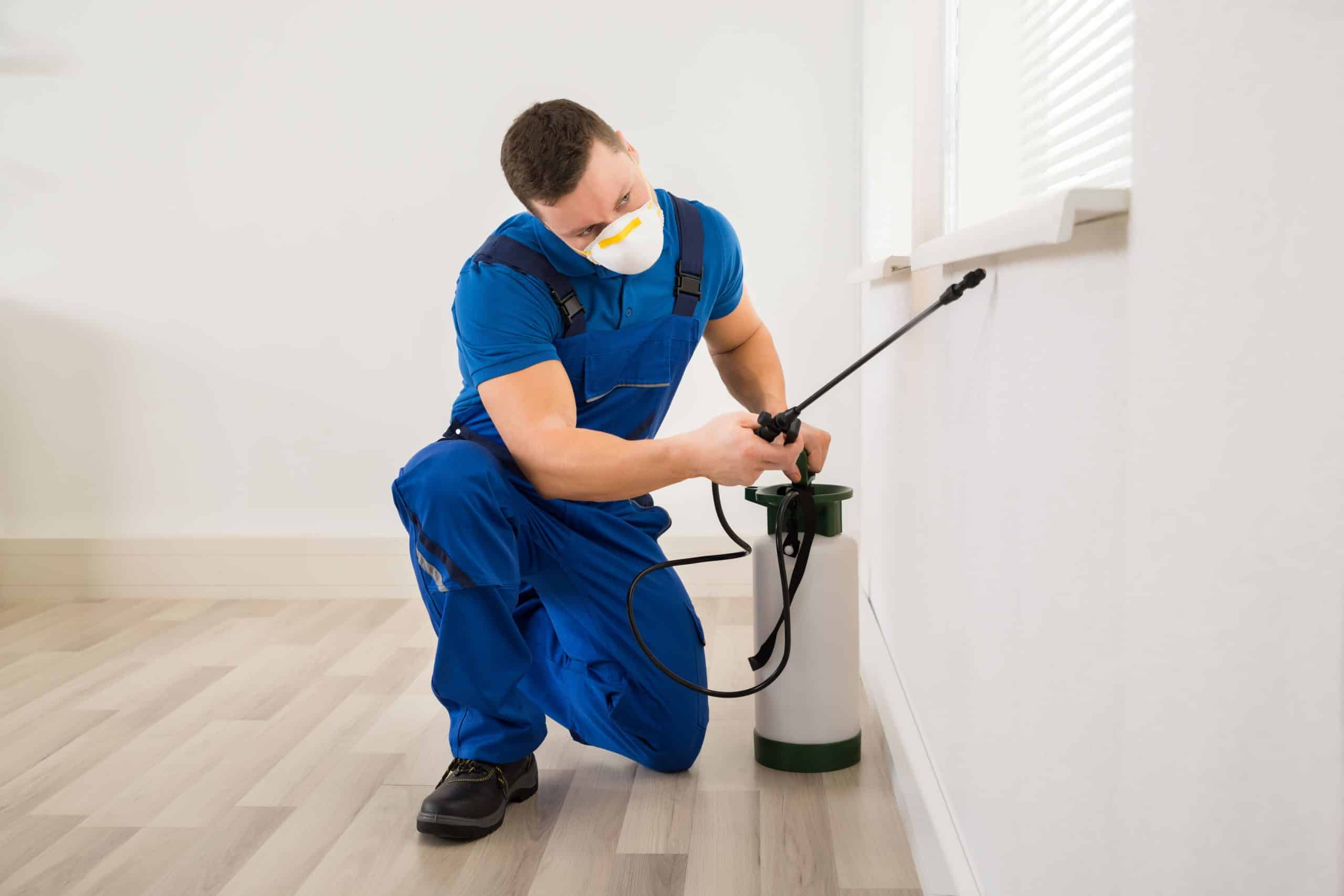 técnico realizando una limpieza